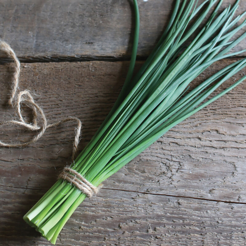 Herbs