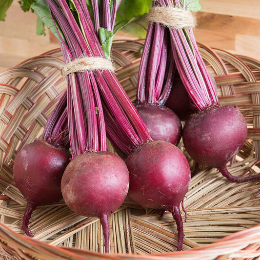 Boro - Beet