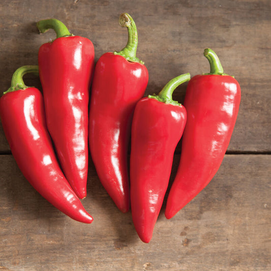 Flaming Flare - Fresno Pepper