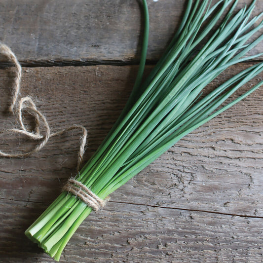 Staro - Chives