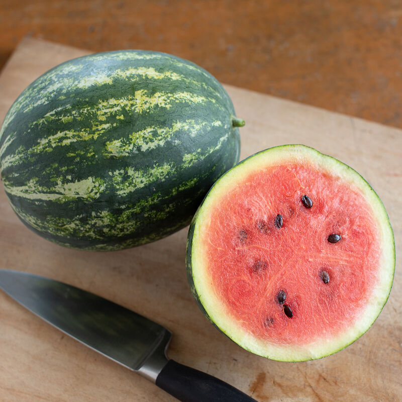 Mini Love - Watermelon